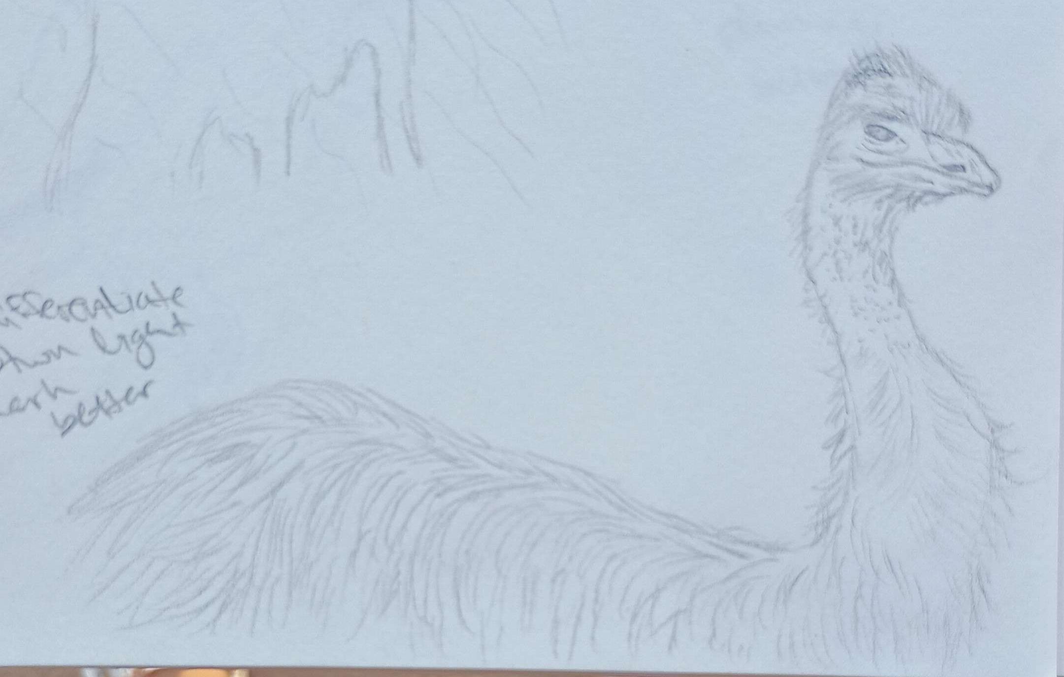 One-Eyed Death Emu-Pencil
